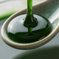 Chlorophyll